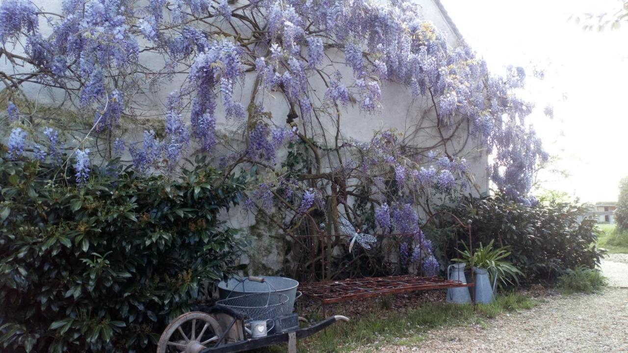 La Pause - Val De Loire Panzió Chabris Kültér fotó